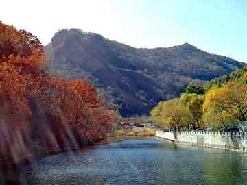 澳门二四六天天彩图库，空心铜针